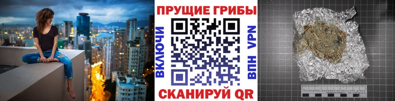 Галлюциногенные грибы Psilocybe Гагарин