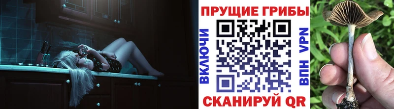 Псилоцибиновые грибы Cubensis Гагарин