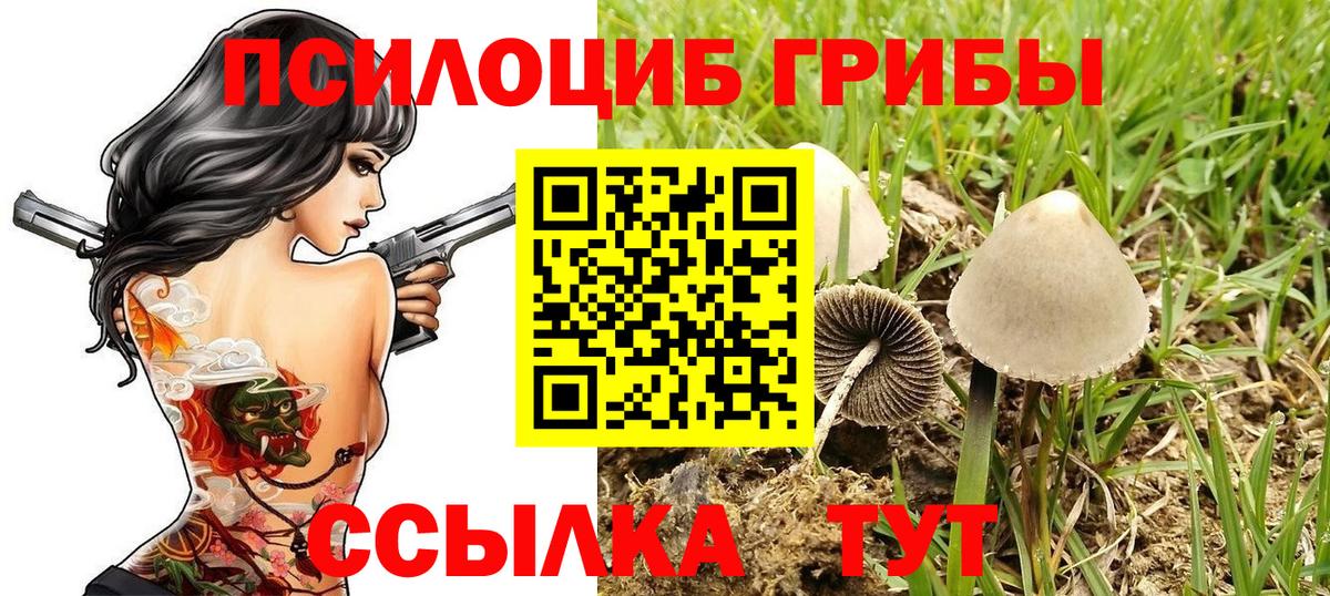 Гагарин  Псилоцибиновые грибы Psilocybine cubensis  Вход с VPN 