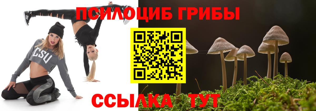Псилоцибиновые грибы ЛСД Гагарин