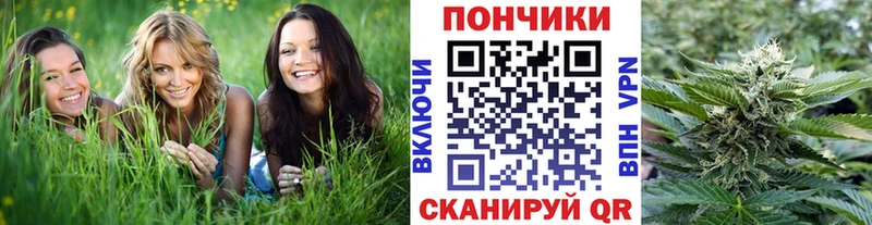 Марихуана Bruce Banner  дарнет шоп  Гагарин 